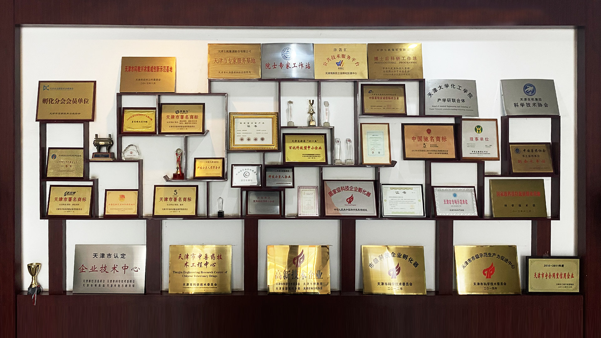 讓生機(jī)人成功快樂(lè)、讓生機(jī)集團(tuán)走向卓越是生機(jī)的使命